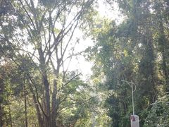 -孔雀湖生态旅游区