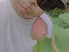 -陈家山荷花公园