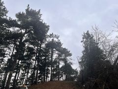 -四明山国家森林公园