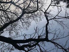 -北京鹫峰国家森林公园