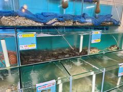 水产区-琼大师东方烤乳猪(亚特兰蒂斯店)