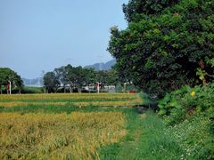-光明小镇欢乐田园