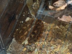 -Zoolung Zoolung动物主题公园(海信广场店)