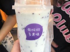-一只酸奶牛(八一路店)