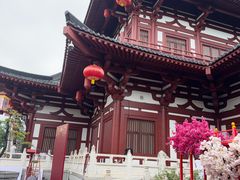 -华清宫景区