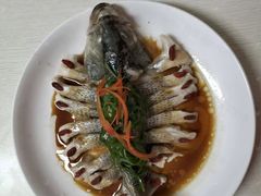 -天鹅到家·保姆月嫂育儿嫂(朝阳店)