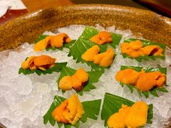 -月龍吟(朝龙汇店)