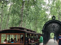 -合肥滨湖国家森林公园