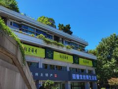 -青藤茶馆(南山路店)