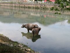 -杭州双溪漂流景区