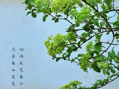 -拙政园