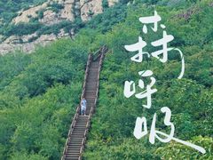 -大岭沟猕猴桃谷风景区