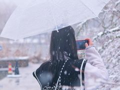 -九里河湿地公园