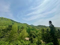-东明山森林公园