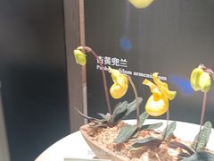 -国家植物园南园