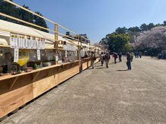 -名古屋城