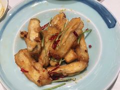 -阿五黄河大鲤鱼(海尚店)