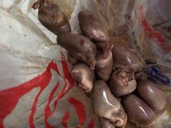 -绝味鸭脖(碧凤坊二店)