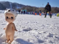 -亚布力新体委滑雪场