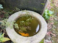 -竹泉农庄·竹筒饭(从化店)