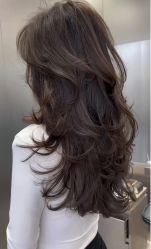 -DL HAIR SALON