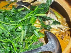 -九道菜有鸡鱼头(石鼓路店)