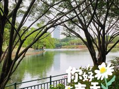 -深圳龙潭公园
