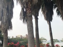 -鼓浪屿内厝澳码头(轮渡站)