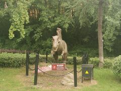 -金钉子远古世界景区