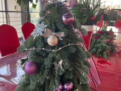 -泰州之星奔驰4S店(海陵店)