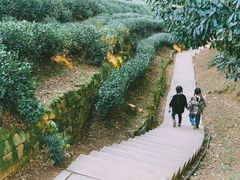 -西湖风景区十里琅珰-五云山
