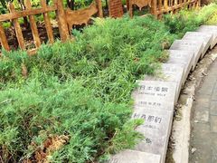 -北京麋鹿生态实验中心