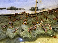 -正佳雨林生态植物园
