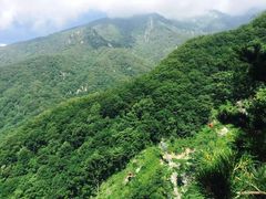 -牛背梁国家森林公园