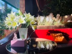 -花隐·美芙炫海菲秀皮肤管理中心