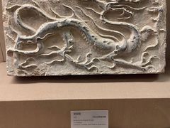 -敦煌市博物馆