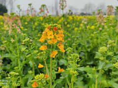 -中国天府农业博览园