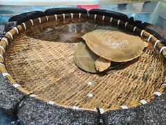 -宁海食府(大剧院店)