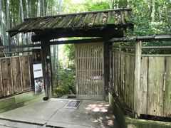 -常寂光寺
