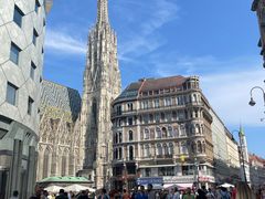 -斯蒂芬主教座堂(Stephansdom)