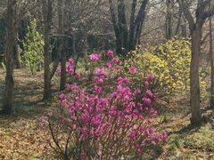 -长春市南湖公园