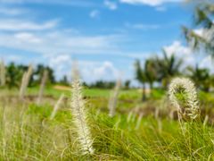 -海南鉴湖蓝湾高尔夫球会