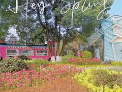 -铁山坪森林公园