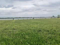 -嘉北郊野公园