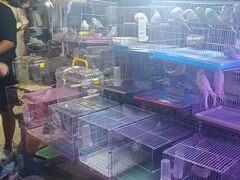 -中环花鸟鱼虫市场