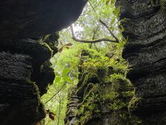 -梭布垭石林景区