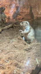 -Zoolung Zoolung动物主题公园(海信广场店)