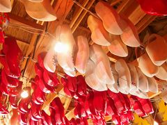 -库肯霍夫公园