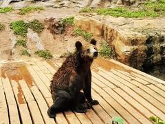 -海南热带野生动植物园