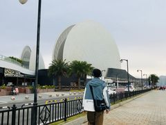 -野狸岛